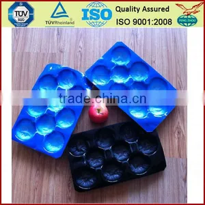 Safety Protection Plastic Alveolar PP Fruit Packing Tray thumbnail-4