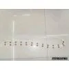 Bead Belts thumbnail-1
