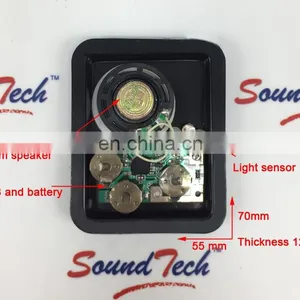 Electronic Components Alert Sound Device for Car thumbnail-6