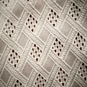 Broderie Anglaise Cotton Eyelet Schiffli Lace Embroidery Fabrics thumbnail-1