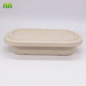 New Hot Disposable Biodegradable Single Compartment Salad Box Bagasse Food Box Take Away Sugarcane Container thumbnail-3