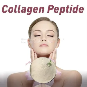 Wholesale Halal Approved Bulk Marine Fish Hydrolyzed Collagen Powder Fish Collagen Peptide Powder Raw Material thumbnail-1