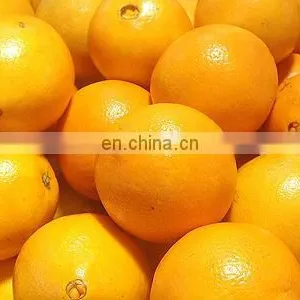 Citron Lemon Cutter and Peeling Machine Skiving Machine Peeler Industrial Machine thumbnail-4