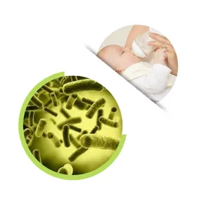Bifidobacterium Infantis Powder, Probiotic Powder Formula Milky White To Light Yellow Powder thumbnail-1