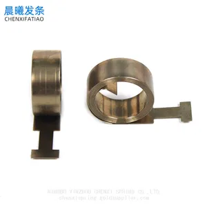 Stainless Steel Constant Force Spring for Boosters Fittings thumbnail-2