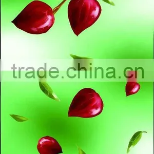 3D Lenticular Mobile Phone Case Sticker thumbnail-1