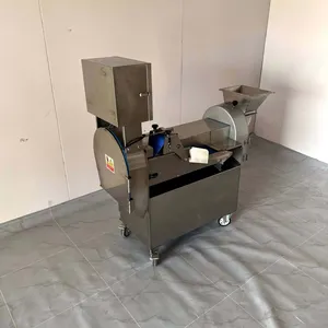Stainless Steel Inverter Double Cutting Head Vegetable Cutter Machine thumbnail-2