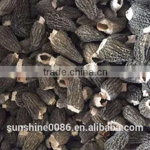Dried Morel Morchella Mushroom From Yunnan thumbnail-1