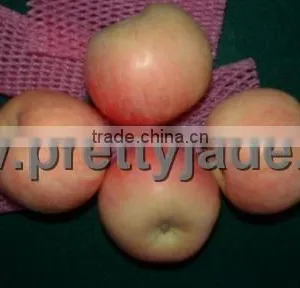 Red Fuji Apple thumbnail-1