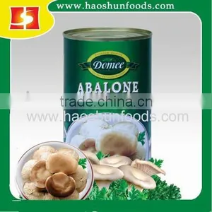 Canned Mushroom Canned Abalone Mushroom thumbnail-1