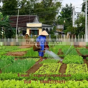 Organic Fertilizer-Neem Cake thumbnail-1