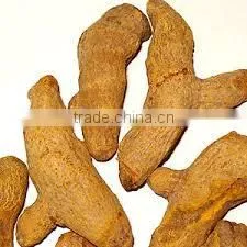 Turmeric Oil Extraction thumbnail-1