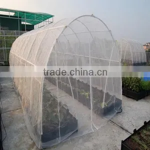 HDPE Agriclture Anti Aphid Net Anti Insect Net Insect Net Window Screen Factory thumbnail-1