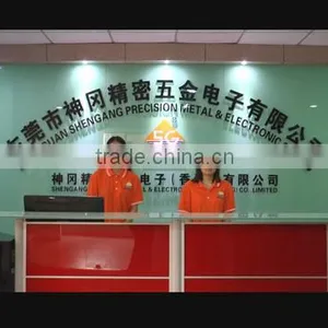 Dongguan Shengang Precision Metal & Electronic Co., Ltd. company overview - view 1 thumbnail