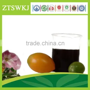 Hight Efficient Compound Microorganism Bacterium Agent Drip Irrigation Liquid Fertilizers thumbnail-1