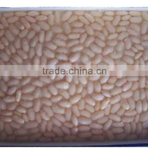 Canned White Beans in Brine With Best Price thumbnail-1