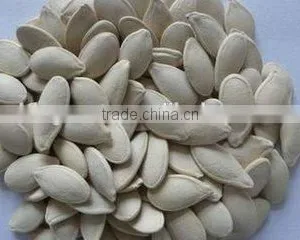 Roasted Salted Shin Skin Pumpkin Seeds thumbnail-2