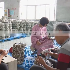 Linyi O.lvy Agriculture Comprehensive Development Co., Ltd. company overview - view 1 thumbnail
