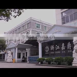 Zhejiang Jiajue Motorcycle Manufacturing Co., Ltd. company overview - view 1 thumbnail