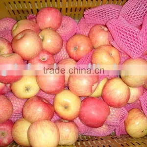 Fuji Apple thumbnail-1
