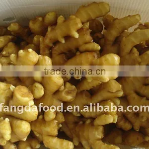 Mesh Bag Packed Ginger From China thumbnail-1