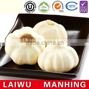 ISO 9001 Fresh Chinese Natural White Garlic thumbnail-1