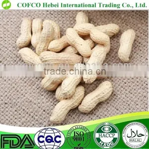 Roasted Peanut in Shell thumbnail-2