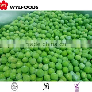 Good Price Frozen Baby Oyster Mushroom 2016 With Grade A thumbnail-6