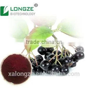 Rich in Flavonoids, Anthocyanins High-quality Healthcare Supplement Natural and Organic Aronia Chokeberry Extract Powder thumbnail-1