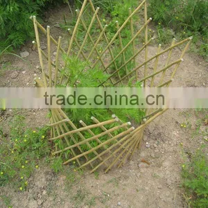 WILLOW TRELLIS WILLOW FENCE WILLOW BORDER thumbnail-1