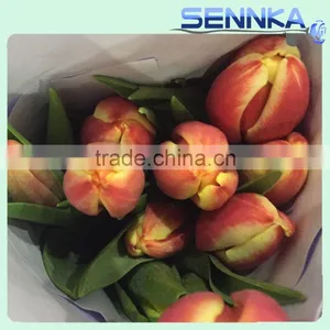 Quality Fresh Cut Flower in China /design Roses/jasmine/decorative Natural Flowers thumbnail-2