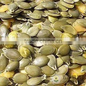 China Organic Pumpkin Kernels Grow Without Shell for Oil Use thumbnail-3