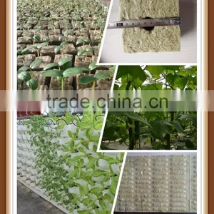 China Rockwool Cubes For Agriculture and Hydroponic System thumbnail-1