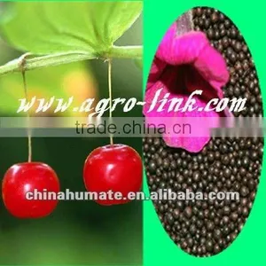 Granular Fertilizer Humic Acid & Amino Acid thumbnail-1