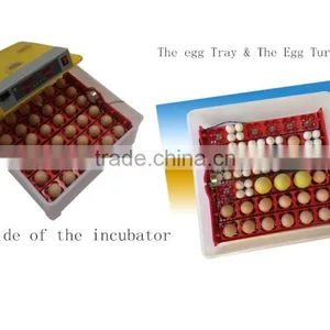 144 Quail Egg Mini Hatchery Price in UK WQ-36 thumbnail-2