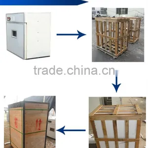 HHD Hot Sale Professional Used Chicken Egg Incubator for Sale Chicken Egg Incubator YZITE-8 thumbnail-6
