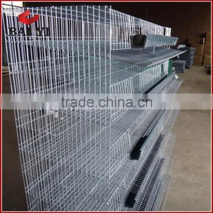 Hot Sale Quail Laying Cage thumbnail-5