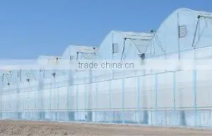 Commercial Greenhouses thumbnail-4