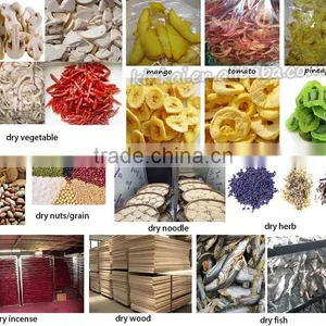 Hot Sale High Quality Dried Mango Processing Machine Drying Mango Dehydrator,Onion Drying Machine thumbnail-3