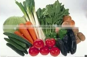 Industrial Tray Type Vegetable Mushroom Dryer Machine thumbnail-5