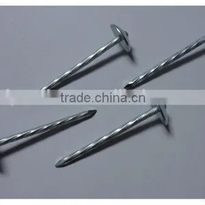1"*11G Galvanized Umbrella Head Plain and Ring Shank Roofing Nail (factory) thumbnail-4