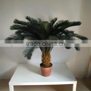 Decorative Sago Cycas Cycas Revoluta Artificial High Simulation Cycads Plant thumbnail-3