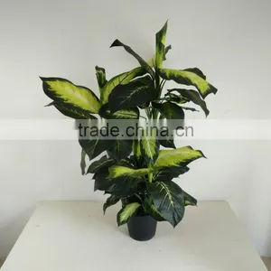 Fake Decorative Dieffenbachia Rohdea Artificial Evergreen Wholesale thumbnail-3