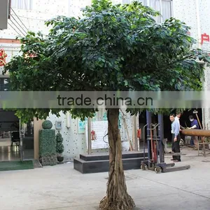 Cheap Hot Sale Foliage Banyan Leaves Artificial Ficus Leaves. Green White Gold Leaves thumbnail-5