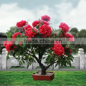 Beautiful Outdoor Decorative Peony Flower Light Bonsai thumbnail-1
