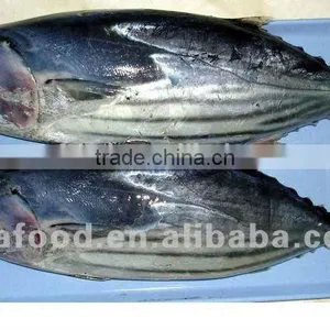 Land Frozen or Sea Frozen Bonito 100-200g thumbnail-1
