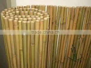 Natural Bamboo Fence for Garden thumbnail-1