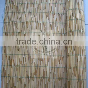 Reed Fence thumbnail-1