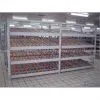 Flowing Through Racking thumbnail-1
