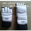 Hand Guard, Foot Guard thumbnail-1